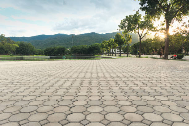 Best Local Driveway Pavers  in Bakerstown, PA